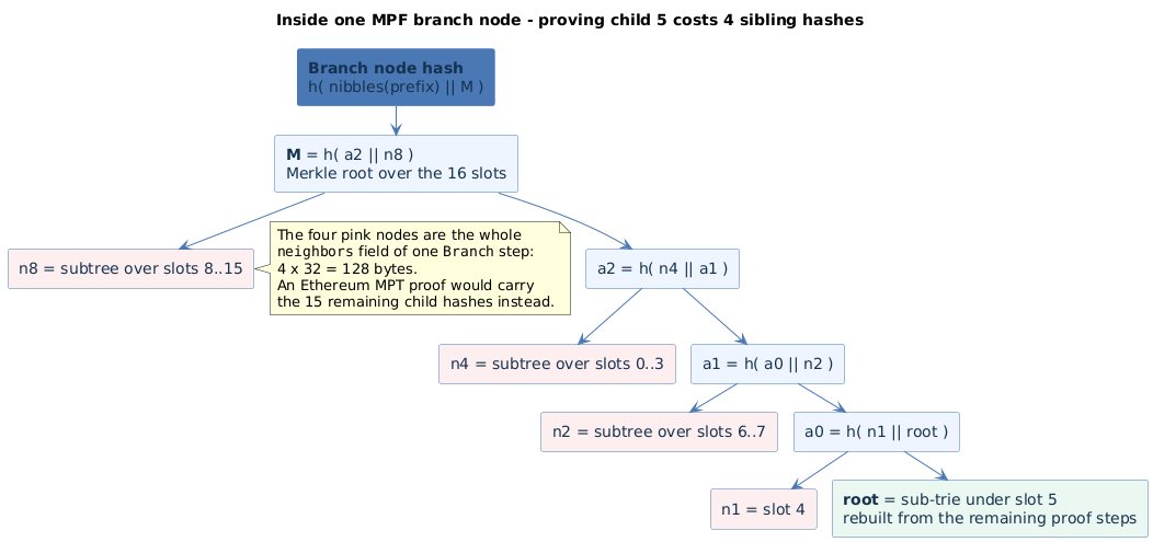 Reduction from a branch node hash down to one child slot, showing the four sibling hashes n8, n4, n2 and n1 that a Branch proof step carries, with the sub-trie root rebuilt from the remaining steps